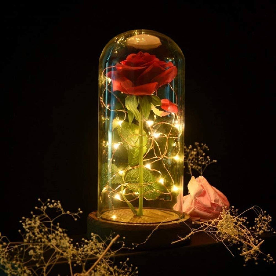 SW Preserved Rose Enchanted Rose Red Silk Rose in Glass Dome with LED Lights Pine Base, Romantic Home Decor Gifts for Women Valentines Day Christmas